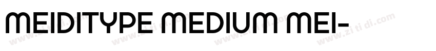 MEIDITYPE MEDIUM MEI字体转换